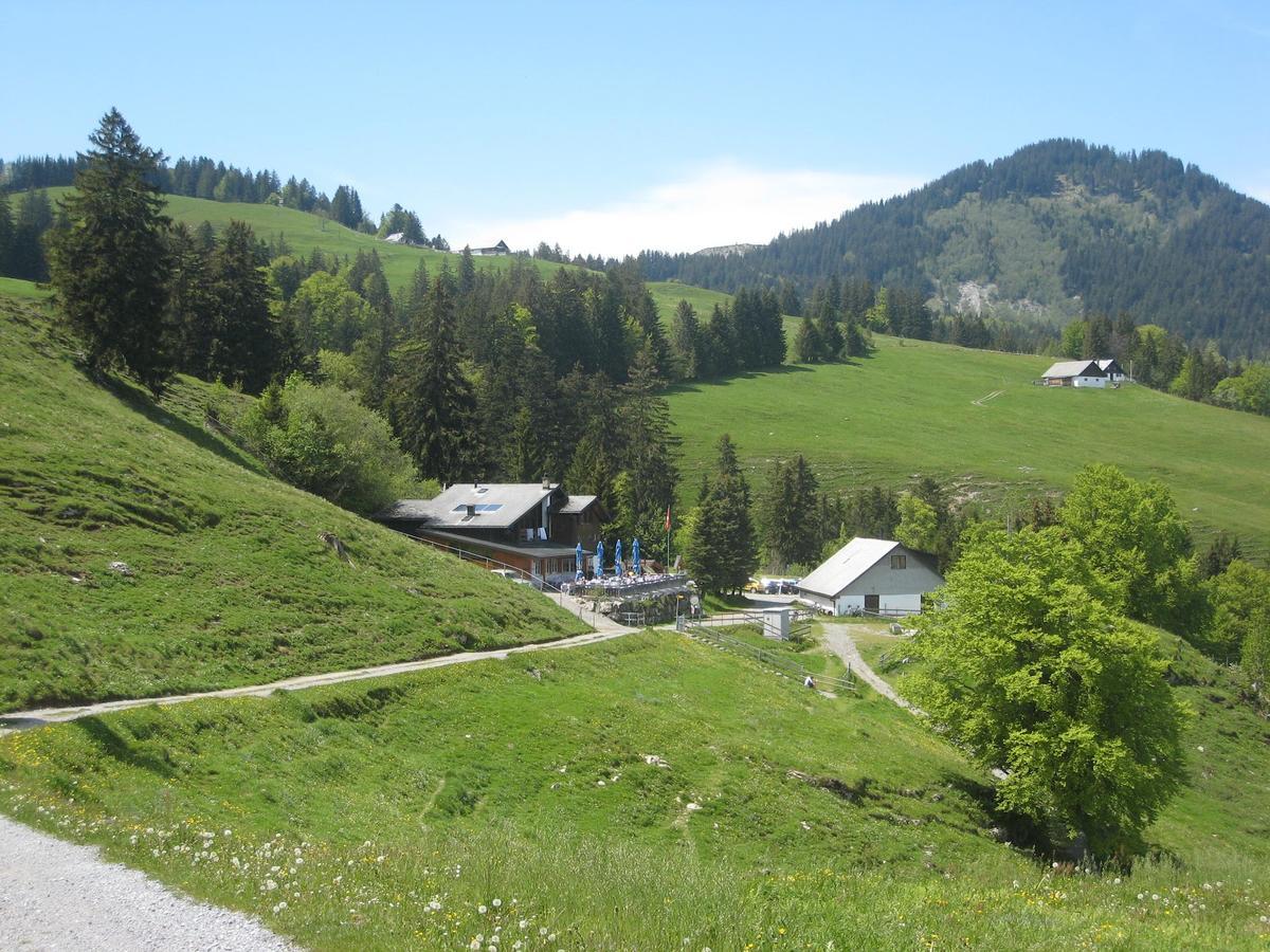 Montlinger Schwamm Hotel Oberriet Buitenkant foto